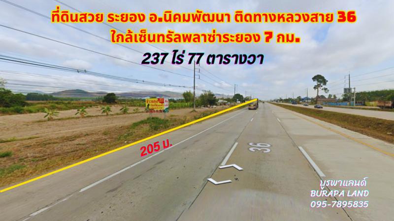 ที่ดิน 2500000 ระยอง กิ่งอำเภอนิคมพัฒนา มะขามคู่
