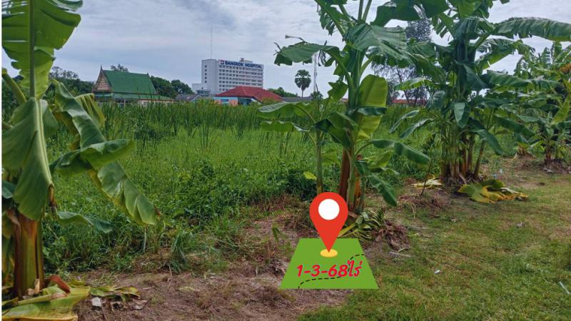 ที่ดิน 6800000 ระยอง เมืองระยอง เนินพระ