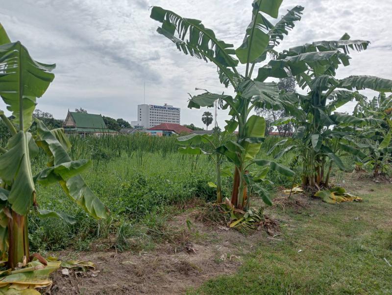 ที่ดิน 6800000 ระยอง เมืองระยอง เนินพระ