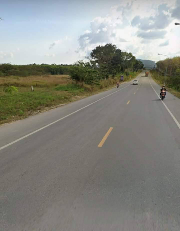 ที่ดิน 4500000 ระยอง กิ่งอำเภอนิคมพัฒนา พนานิคม