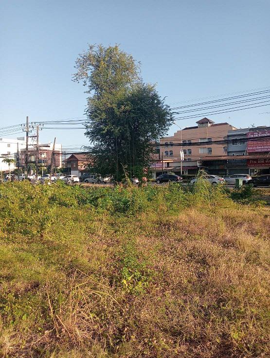ที่ดิน 20000000 จันทบุรี เมืองจันทบุรี วัดใหม่