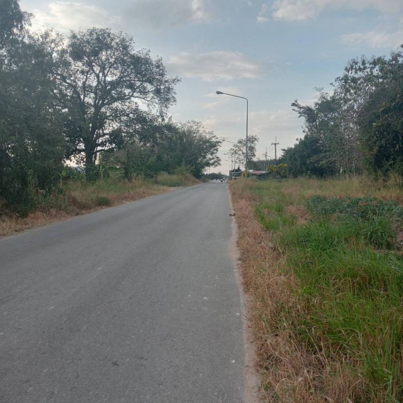ที่ดิน 2300000 ระยอง กิ่งอำเภอนิคมพัฒนา นิคมพัฒนา