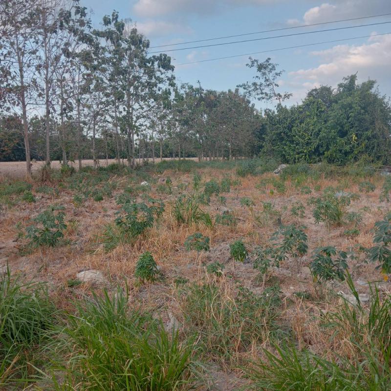 ที่ดิน 2300000 ระยอง กิ่งอำเภอนิคมพัฒนา นิคมพัฒนา