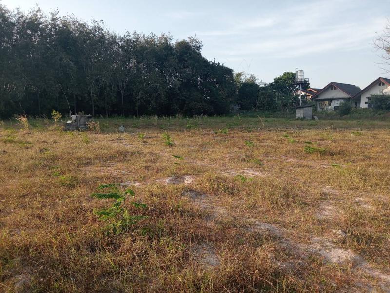 ที่ดิน 6500000 ระยอง เมืองระยอง น้ำคอก